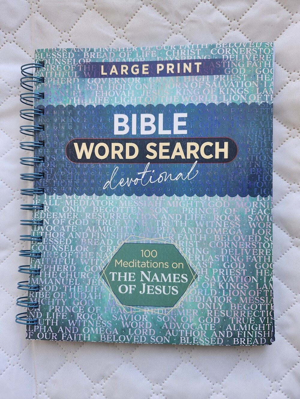 Bible Word Search Devotional